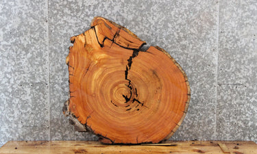 Cedar Wood Table Top Slab, End Table, Circle Cut, Round 6401